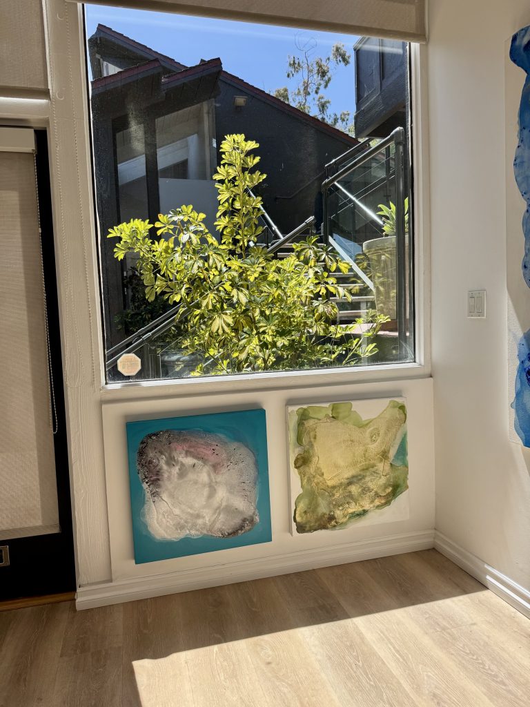 Sun-drenched corner of Clara Berta Studio with two fluid acrylic on canvas paintings mounted beneath a large window, which shows a prominent Umbrella Tree and an outdoor staircase. Bright natural light illuminates the wooden floor.