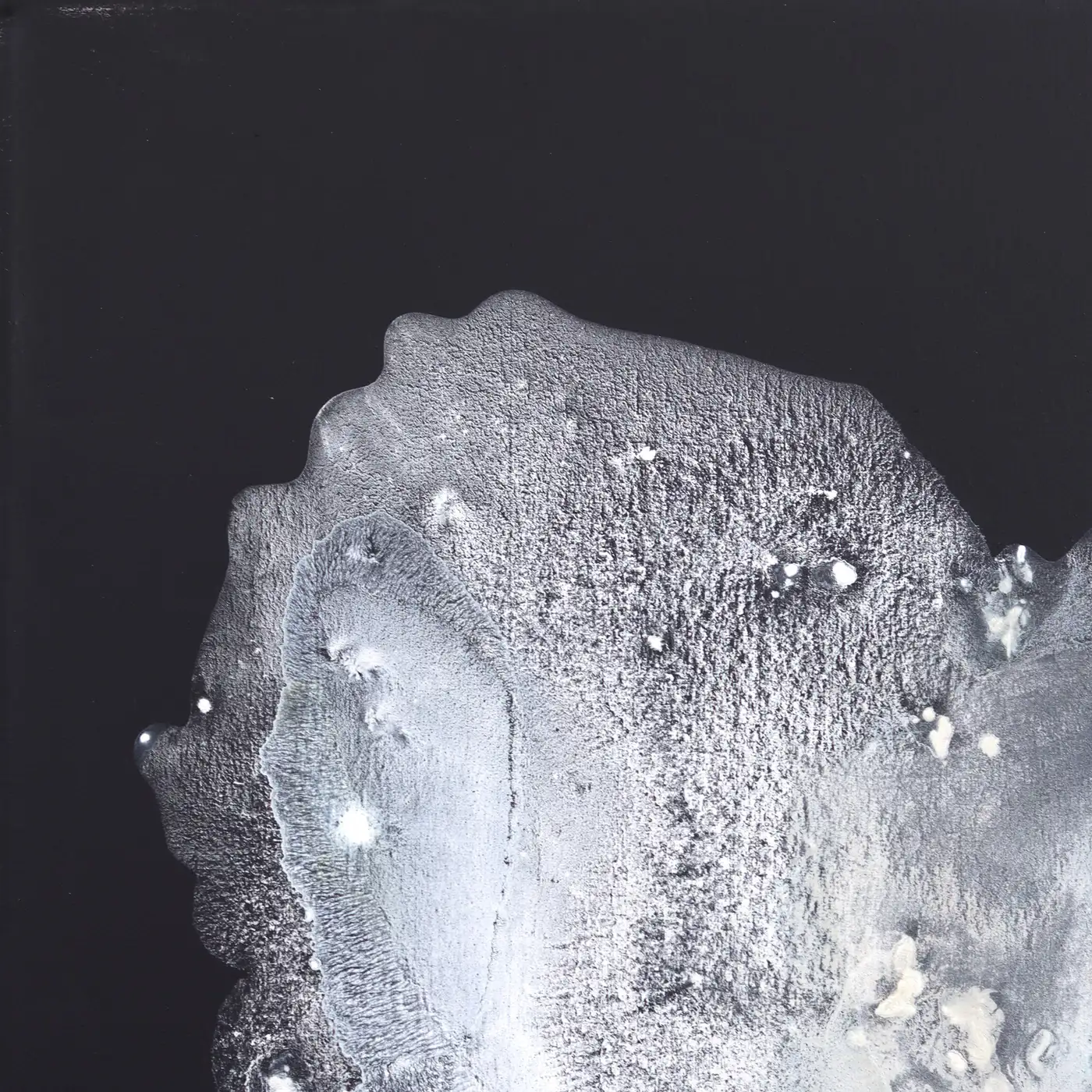 Close-up macro detail of heavy white textured paint ridges with organic bubbles and a pearl finish layered over a smooth airbrushed Payne's gray background in the abstract painting Winter in White by Clara Berta, Queen of Texture.