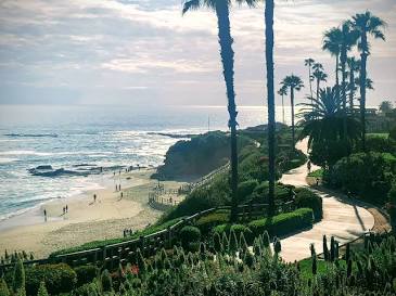 A scenic paved walking path winding along green oceanfront cliffs at the Montage Resort in Laguna Beach, lined with tall palm trees and overlooking a sandy beach and the ocean below.